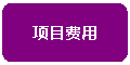 圆角矩形:项目费用