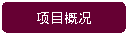 圆角矩形:项目概况