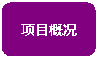 圆角矩形:项目概况